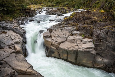 Whakapananui Stream and Mahuia Rapids, river and waterfall. Tongariro National Park, North Island,