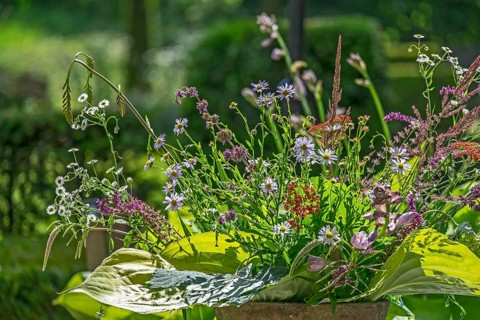 Field flower bouquet, the Netherlands