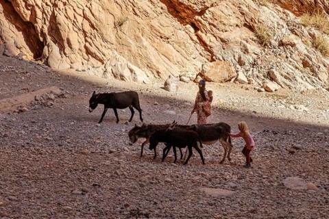 Family with donkeys on rocky ground in rocky gorge in shade, Todra Gorge in Morocco