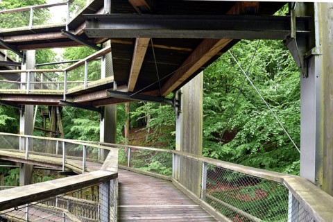 Treetop Trail on Rügen, Natural Heritage Center, Mechlenburg-Vorpommern, Germany