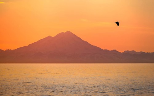 View over Cook Inlet to white mountain peaks of Mount Redoubt, at sunset, picturesque golden light