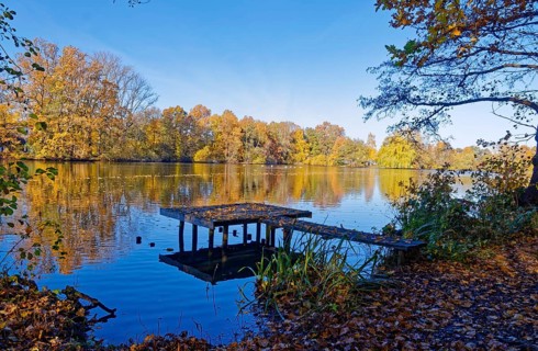 Autumn colors and a fishing platform on Sandbrack, a lake in the Kirchwerder district of Hamburg.