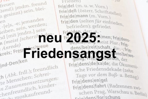 Lettering NEW 2025: FEAR OF PEACE against the background of a duden***The term has recently been