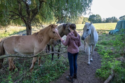 Young girl with her horses in the pasture, Othenstorf, Mecklenburg-Western Pomerania, Germany
