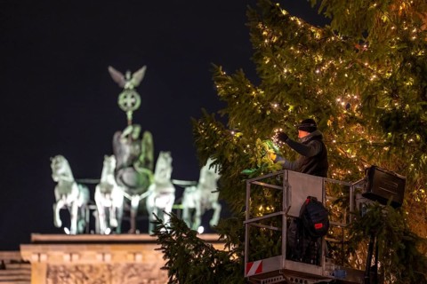The big Christmas tree in front of the Brandenburg Gate, on Pariser Platz, is decorated with fairy