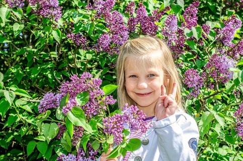 Little blonde 7-year-old girl stands surrounded by blooming lilacs and smiles at the camera in
