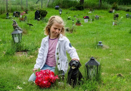 Grieving blonde 7-year-old girl at her dog's grave at pet cemetery in Ystad, Skåne County, Sweden,