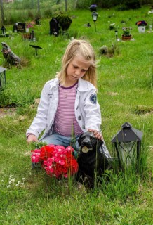 Grieving blonde 7-year-old girl at her dog's grave at pet cemetery in Ystad, Skåne County, Sweden,