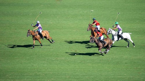 Scene at the 132nd Argentinean Open Polo Championship (Spanish 132nd Abierto Argentino de Polo de
