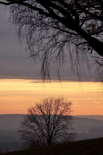 Landscape on an evening in autumn, November, Germany