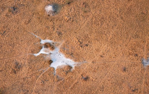 Paths, trails in the countryside, animal trails Aerial view of the Okavango Delta, near Maun,