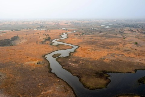 Wetland, landscape, aerial view of the Okavango Delta, near Maun, Okavango Delta, Botswana