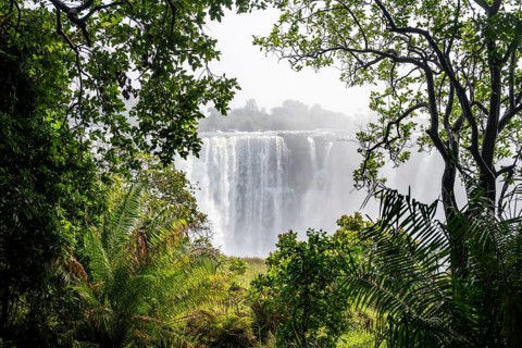 Water plunges into the depths, Victoria Falls with jungle and green plants, Zambezi, Zimbabwe
