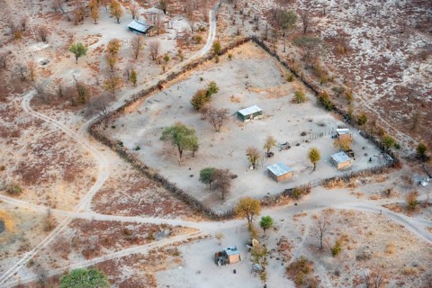 Settlement, simple house and fence, dry savanna landscape, near Maun, aerial view, Okavango Delta,
