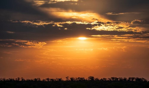 Impressive sunset over the African savanna, silhouette of the horizon with trees in front of the