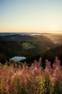 View from Feldberg to Feldsee looking east, sunrise, Black Forest, Southern Black Forest,