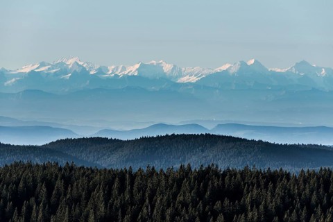 View of the Swiss Alps from Feldberg, Black Forest, Southern Black Forest, Baden-Württemberg,