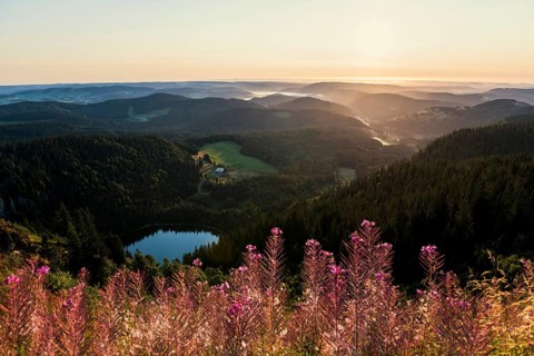 View from Feldberg to Feldsee looking east, sunrise, Black Forest, Southern Black Forest,