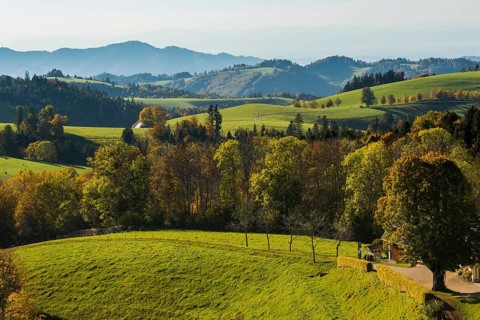 Hilly landscape in autumn, St Märgen, Black Forest, Southern Black Forest, Baden-Württemberg,