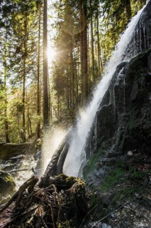 Zweribach Waterfalls, protected forest, St Märgen, Black Forest, Southern Black Forest,