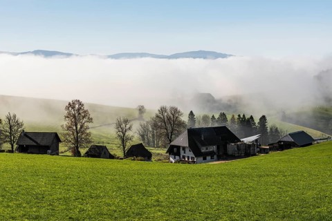 Fog and sun in autumn, St Peter, Black Forest, Southern Black Forest, Baden-Württemberg, Germany