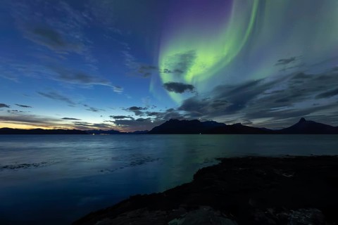 Northern lights at dawn over Sørfolda Fjord near Kjerringøy between Bodø and Sørfold in Norway