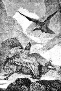Two lamb vultures have cut chamois, alpine landscape, mountain peaks, alpine glaciers, death, food,
