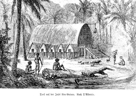Village on the island of New Guinea, Papua, Pacific Ocean, tropical forest, tropical climate,