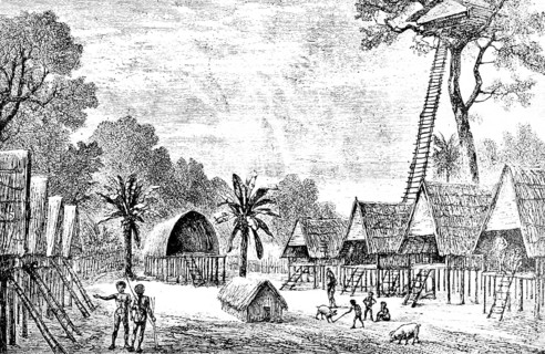 Village on the island of New Guinea, Papua, Pacific Ocean, tropical forest, tropical climate, palm