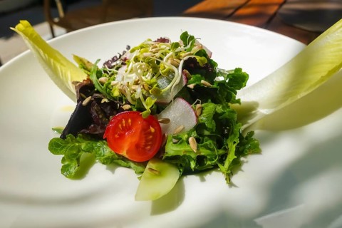 Small colorful salad, starter salad, sprouts, tomatoes, sunflower seeds, chicory, radishes,