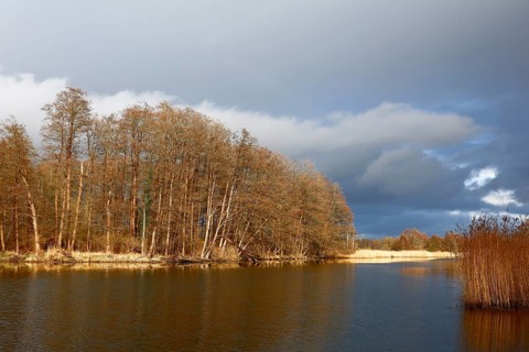 Spring atmosphere with cloudy skies and sunshine over a quiet river, Peenetal nature park Park,
