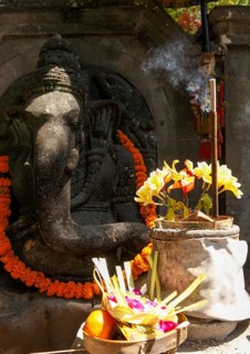 Flowers arranged for beautiful offerings in front of a Ganesha figure, Bali, Indonesia