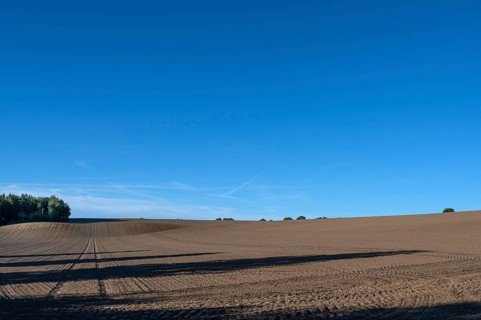 Ordered, large arable area, Mecklenburg-Western Pomerania, Germany
