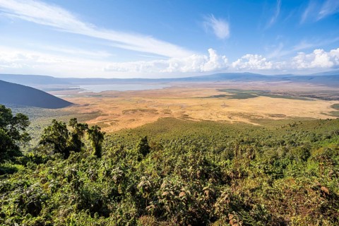View of Ngorongoro Crater, Crater Viewpoint, Forest and Savanna Landscape, Ngorongoro Conservation