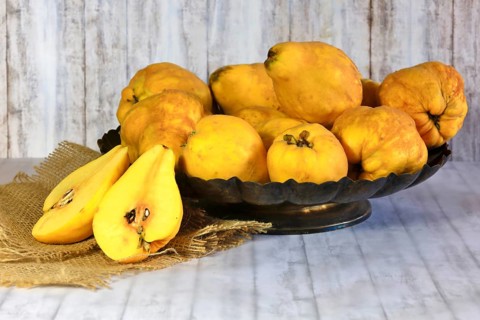 Picturesque still life with quinces, autumn, Germany