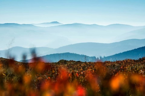Staggered mountain ranges in haze, at Hohneck, Col de la Schlucht, Vosges, Alsace-Lorraine, Vosges