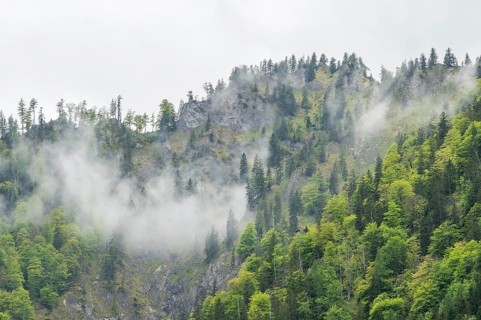 View into the mountains next to Lake Offensee on a rainy day in spring, Salzkammergut, Austria,