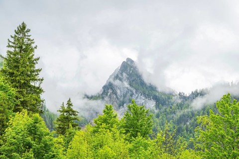 View into the mountains next to Lake Offensee on a rainy day in spring, Salzkammergut, Austria,