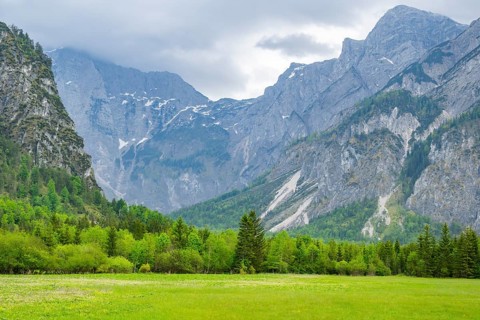Spring meadow with the Alps in the background on a rainy day, Traunkirchen, Salzkammergut, Austria
