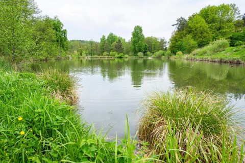 Landscape of a little lake on a cloudy day in spring, Upper Palatinate, Bavaria, Germany
