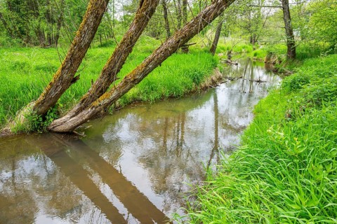 Lanscape of a little stream flowing through the forest in spring on a rainy day, Bavaria, Germany