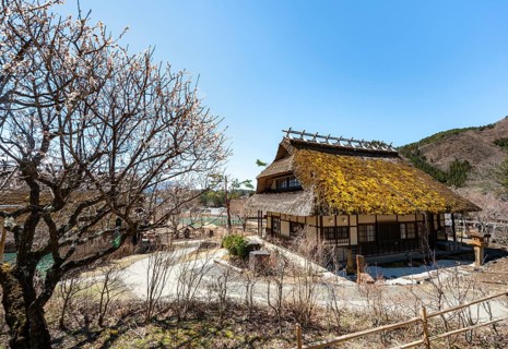 Iyashinosato open-air museum, old Japanese village with traditional houses, Fujikawaguchiko, Saiko,