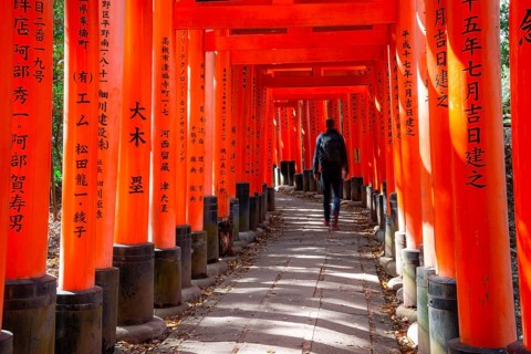 Visitors on a journey through hundreds of red traditional torii gates, Fushimi Inari-taisha, Shinto