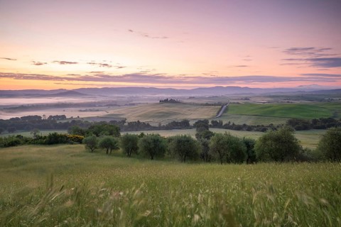 Poggio Covili estate with cypress alley (Cupressus) at sunrise, near San Quirico d'Orcia, Val