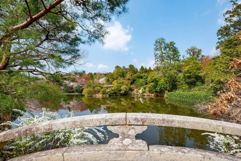 Bridge over Kyoyochi Pond in Japanese Garden, blooming cherry trees, Ryoan-ji, Zen Buddhist temple