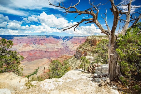 Beautiful landscape of the grand canyon, arizona