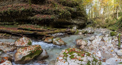 Stream in autumn, Gams, Styria, Austria