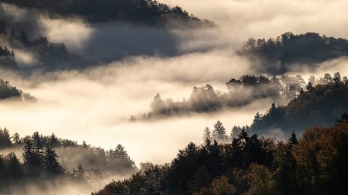 Sunrise, typical landscape in autumn with vineyards and fog, South Styrian hills, South Styrian