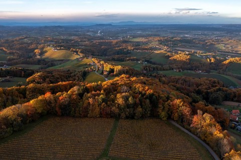 Aerial view, sunrise, typical landscape in autumn with vineyards, South Styrian hills, South
