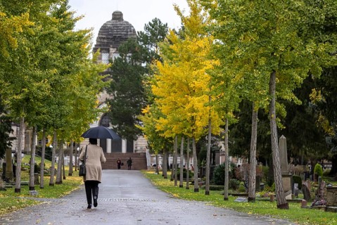 Pragfriedhof Stuttgart in autumn. November is traditionally a time for Christians to visit their